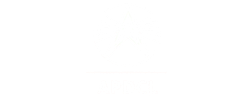 logo (3)